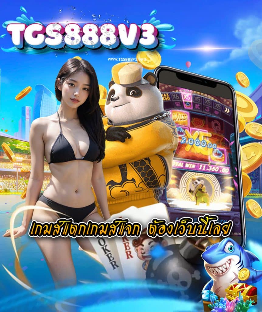tgs888v3 ทางเข้า